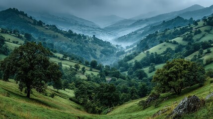 Fototapeta premium Lush green hillsides descend into a valley.