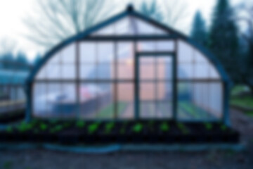 Obraz premium blurry greenhouse with vegetables planted in it, looks like a modern way of growing plants, blurry wallpaper.