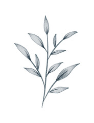 Minimalist Watercolor Botanical Branch Illustration in Monochrome Style

