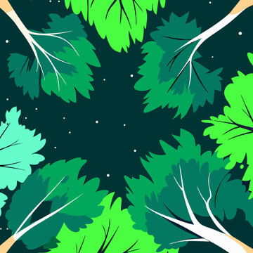 Vector Illustration of Tree Canopy at Night Viewed from Below with Stylized Green Leaves and Starry Sky.