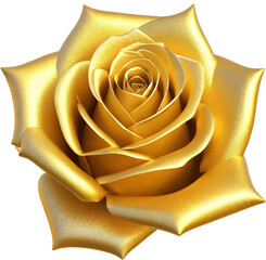 golden rose on white background