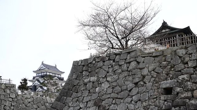 桜咲く春の福山城 （広島県福山市, 2025年4月）