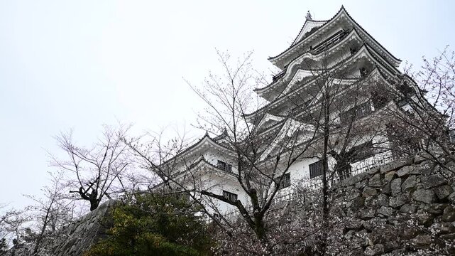 桜咲く春の福山城 （広島県福山市, 2025年4月）