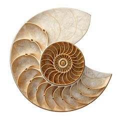 Obraz premium Isometric 3D render of minimalist resin ammonite fossil with sharp edges on transparent background high resolution 