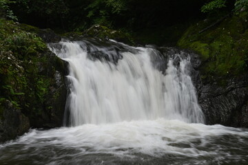 激しい川の流れ
