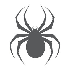Spider icon