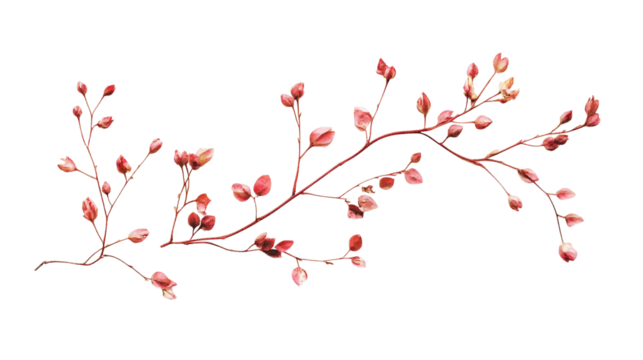 tree branch isolated on transparent background  - Powered by Adobe