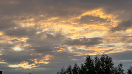 Dramatic golden hour clouds over silhouetted trees