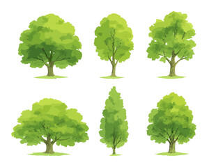 Obraz premium Collection of six watercolor illustrations of green deciduous trees. Each tree features a unique shape and shade, painted in a natural, artistic style on white background.