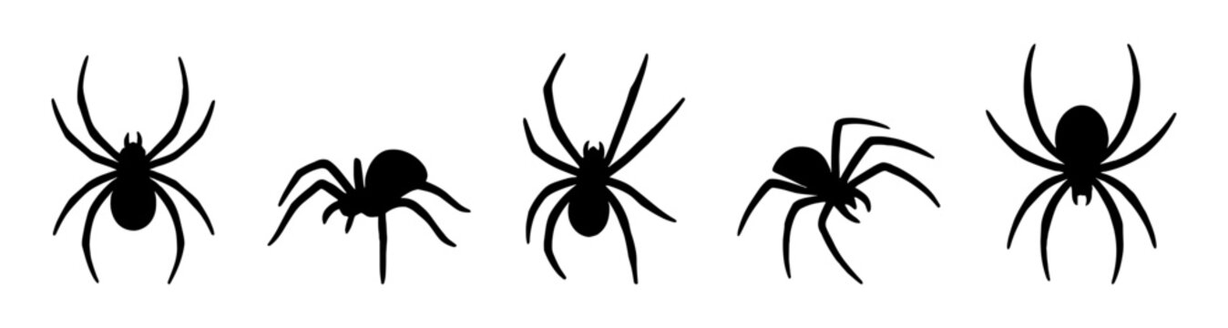 Set of black spider silhouettes in various positions. The collection features simple flat vector shapes with eight-legged arachnids depicted in different angles and movements