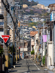 Obraz premium 住宅密集地を通る路地の風景