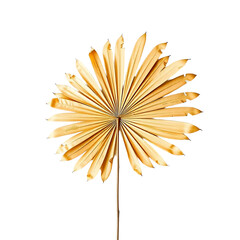 A close-up studio shot of a golden fan palm leaf decoration against a black background.