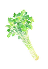 三つ葉の水彩イラスト