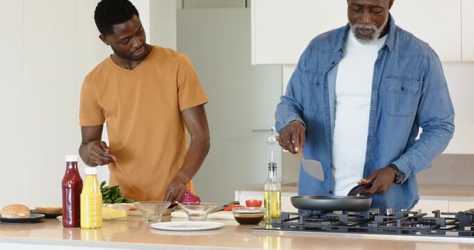 Lighting burner, African American father and son cooking in kitchen, chopping vegetables, teaching
