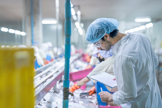 Food processing workers in protective gear, including lab coats, hair covers, and goggles, inspecting fish on ice in a factory setting, emphasizing hygiene, quality control, and safety standards. - Powered by Adobe