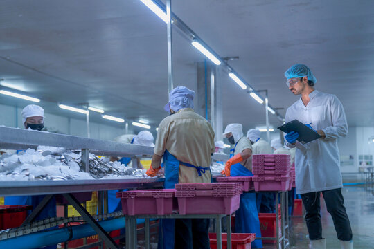 Workers in a food processing plant wearing protective gear, sorting fish on a conveyor belt into pink crates, supervised by a manager with a clipboard, ensuring hygiene and quality control.