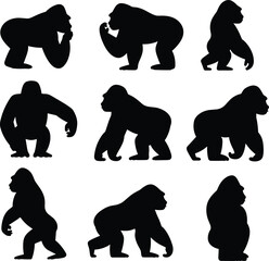 Gorilla silhouettes in walking and standing poses, black CAD drawing flat vector illustration for wildlife, jungle animal, zoo, and nature themes