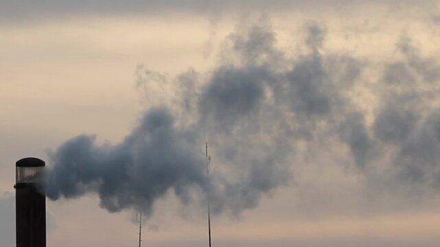 Factory smoke pollution is harmful to environmental health.