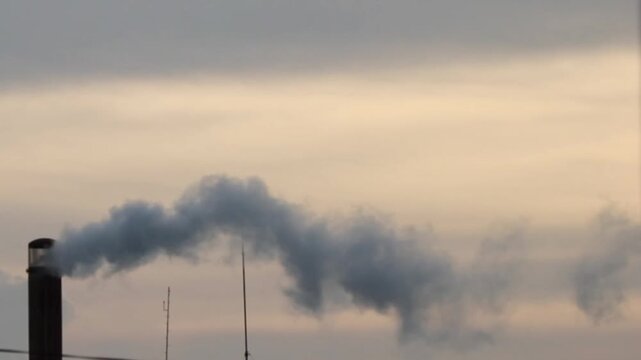 Factory smoke pollution is harmful to environmental health.