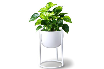 a planter with a green plant in it