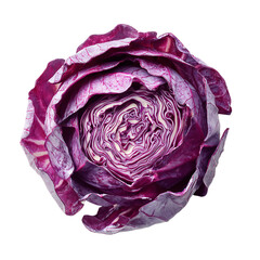 Obraz premium A close up view of a vibrant red cabbage with intricate layers against a transparent background
