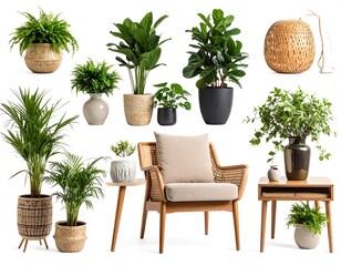 Fototapeta premium A collection of potted plants and a cozy chair