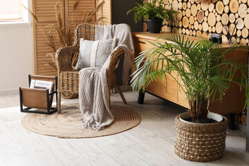 Beautiful interior of living room with wicker armchair, houseplants and chest of drawers