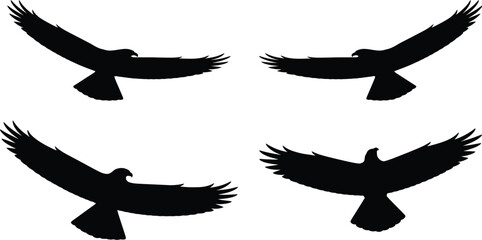 A collection of four black silhouettes depicting a majestic eagle in various flight poses with wings spread.
