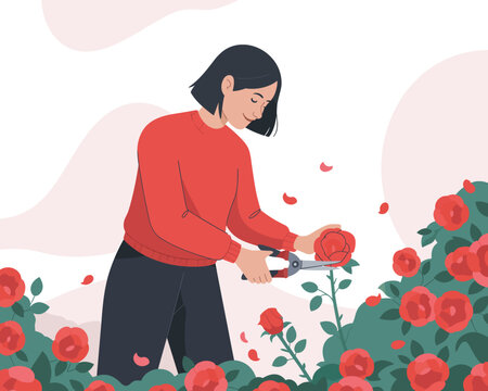 Young woman tending vibrant rose bushes, gardening, spring 
