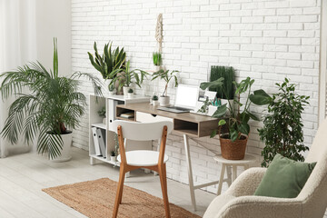 Interior of office with workplace, shelf unit and green plants