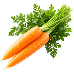 Fresh and vibrant carrots with their lush green tops. They are ready for eating, isolated on transparent background