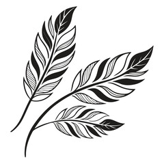 Fototapeta premium Ornamental feather design