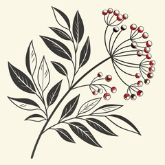 Ornamental plant branch illustration