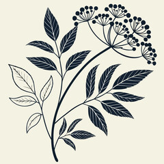 Ornamental plant branch illustration