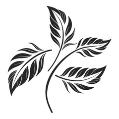 Ornate black leaves design element