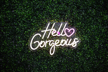 Hello Gorgeous word neon light letters sign with green leaves background