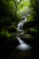 Ethereal Serenity: A Tranquil Waterfall Cascading Through a Lush Forest Oasis