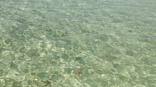 Close-up of crystal clear shallow sea water with natural sunlight reflections creating abstract wave patterns