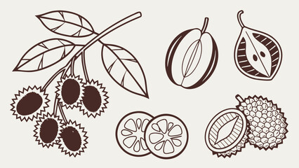  Tropical Fruits Silhouette Vector Set