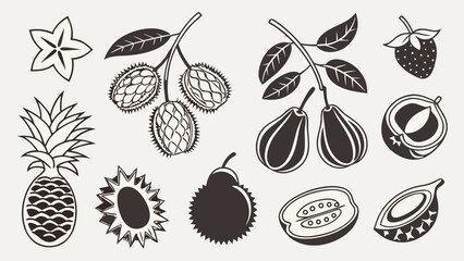 Tropical Fruit Icons Bundle Silhouette Designs