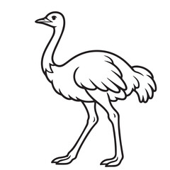 A black and white ostrich vector displays its long neck and powerful legs, outlined in bold black lines for a clean visual design.

