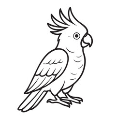 A stylized cockatoo vector appears in black and white tones, highlighted by strong black outlines that define its head, wings, and tail.

