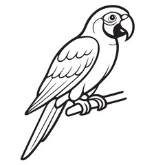 A black and white parrot vector shows curved beak and feathered wings, outlined in bold black lines to emphasize its elegant tropical shape.

