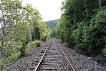 Railway in the woods and travel in summer. Path for train.