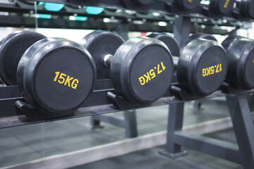 Weights arranged in a gym for strength training sessions