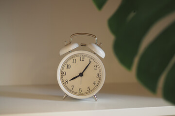 Classic white alarm clock on a shelf with greenery nearby