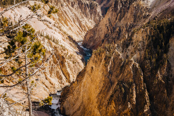 Lower Falls Yellowstone during Fall