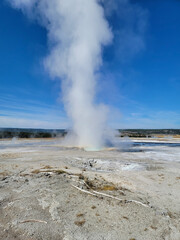geyser in yellowstone national park