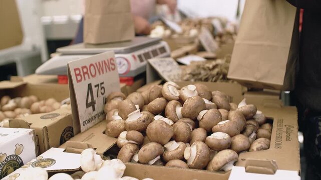 At a farmer's market in the Ferry Building, San Francisco, California, USA, a vendor sells fresh mushrooms. Customers buy locally sourced produce, supporting small businesses and healthy eating.