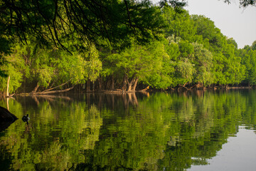 el lago de camécuaro